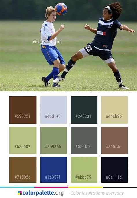 Sports Team Sport Player Color Palette