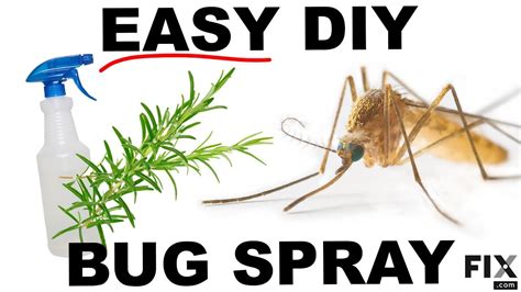 Diy Organic Bug Spray Youtube