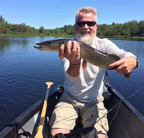 Pushaw Stream Pike The Fisherman