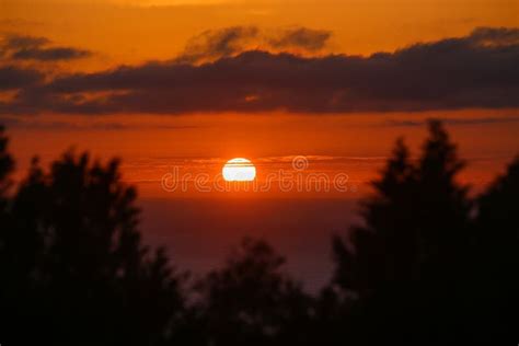 Beautiful Red Sunset Over The Ocean Through The Trees Stock Image