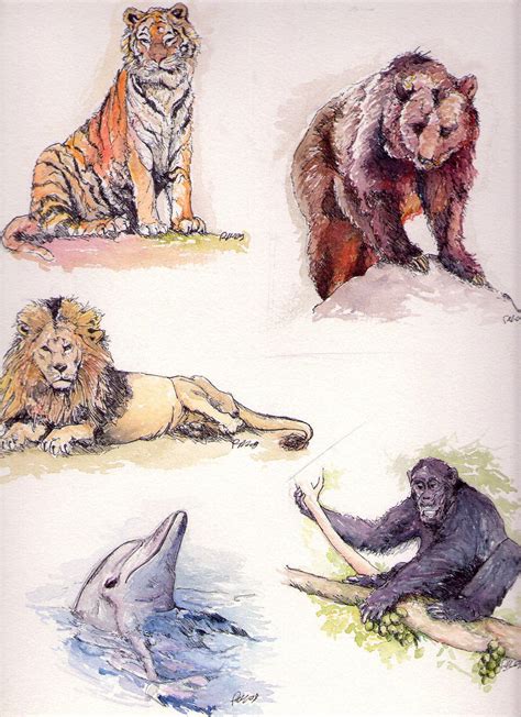 Animals Sketch 3 By Egonriz On Deviantart