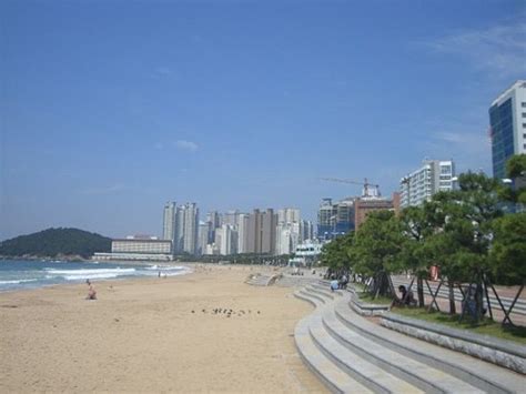 Haeundae Beach Busan South Korea Address Tickets