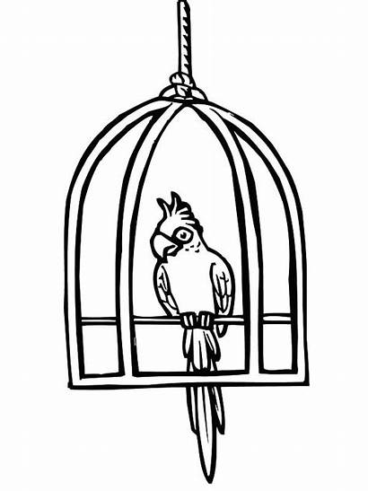 Cage Bird Coloring Parrot Pages Clipart Cages