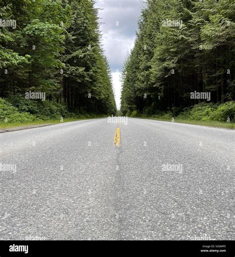Road Through Forest Stock Photo Alamy
