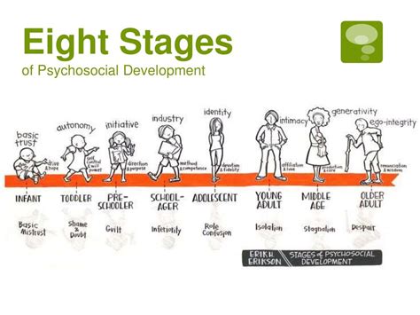 Erik Erikson S Eight Stages Of Psychosocial Development