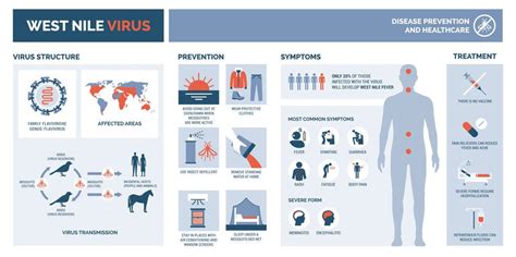 West Nile Virus Symptoms And Transmission Mosquitonix Mosquitonix®