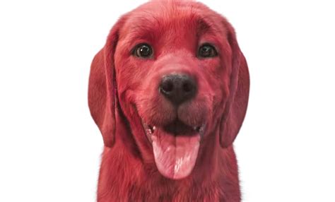 Clifford The Big Red Dog Movie Teaser Reveals A Big Cg Red Dog And