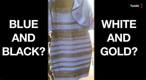 What Color Do You See Debate All You Want But According To The Dress