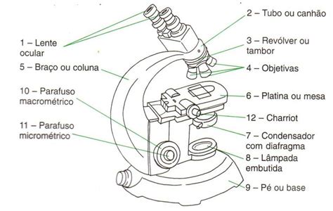 Parte De Um Microscópio