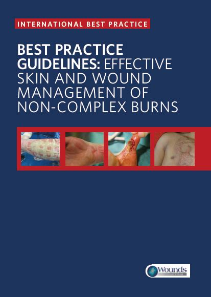 Best Practice Guidelines Effective Skin And Wound Management In Non