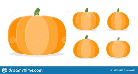 Collection Of Pumpkins In Different Shapes Vector And Illustration