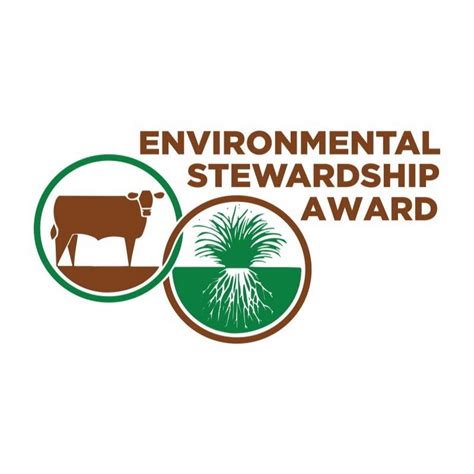 Environmental Stewardship Award Youtube