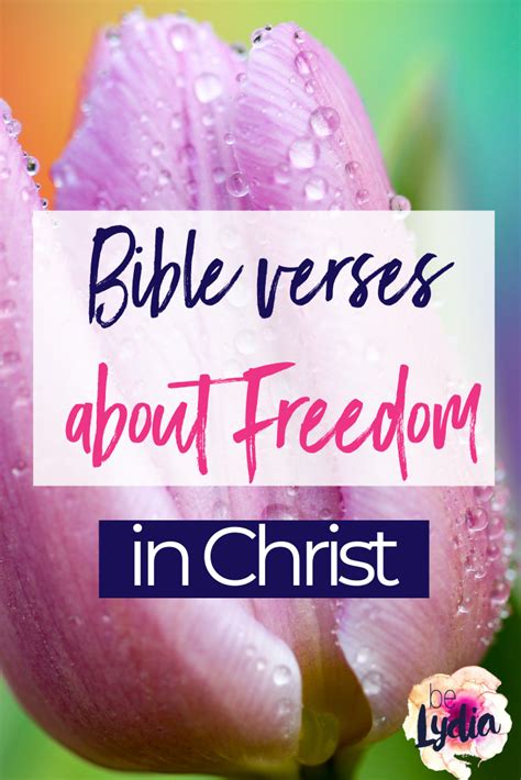 Bible Verses About Freedom In Christ From Belydia