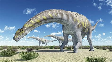 アルゼンチノサウルス 恐竜博物館web