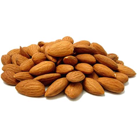 Almond Png Transparent Image Download Size 500x500px