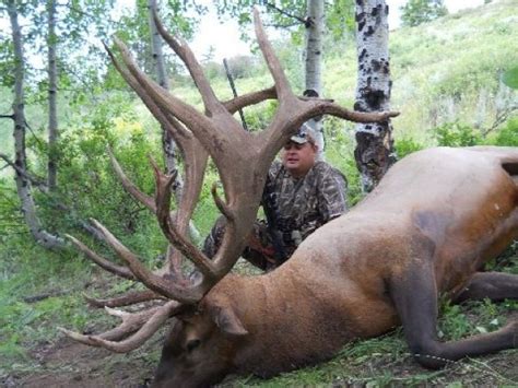 Record Nm Bull Elk Scores 595 Elk Monster Muleys Community
