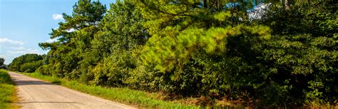 New and used mobile homes for sale in texas. Wooded Mobile Home Lot Residential Land For Sale in Texas ...