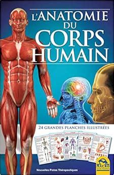 Amazon fr L anatomie du corps humain 24 grandes planches illustrées