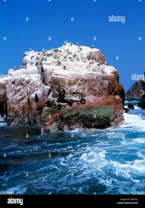 Ballestos Islands Hi Res Stock Photography And Images Alamy