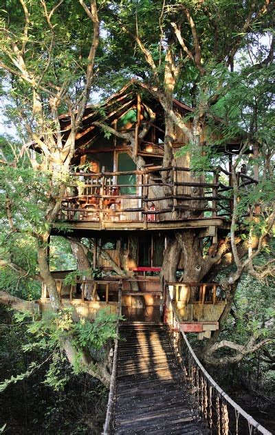 To explore more similar hd image on pngitem. Moon to Moon: Awesome Tree Houses....
