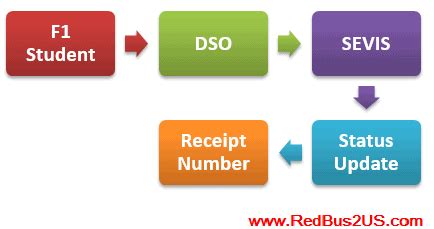 Search for f1 visa insurance. H1B Lottery Results- F1 Students SEVIS Update DSO, Get Receipt Numbers? - RedBus2US