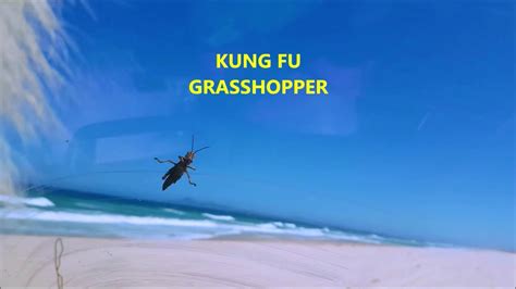 Kung Fu Grasshopper Youtube