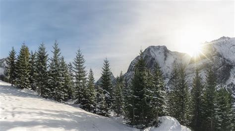 Alpine Snowy Panorama With Mountains Forest And Sunshine Stock Image