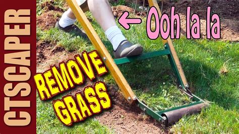 How To Get Rid Of Grass Without Digging 5 Easiest Methods