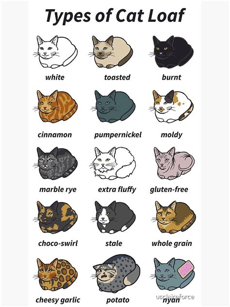 They chased him all over the house and tried to take it away from him, but his grip too powerful and they. "The Types of Cat Loaf" Art Print by usclaireforce | Redbubble