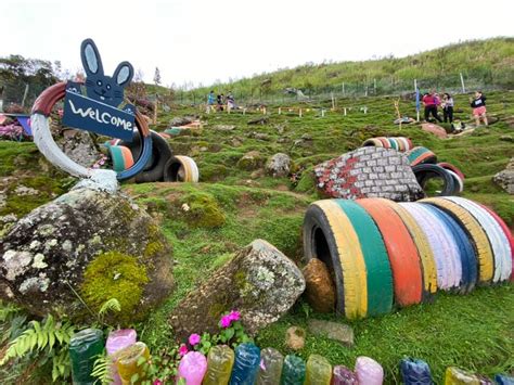 Rabbit Garden In Msia Is As High As Genting Highlands Can Pet Bunnies