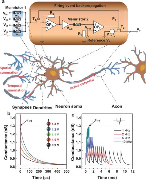 Artificial Leaky‐integrate‐and‐fire Lif Neuron And Temporal And