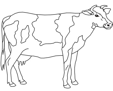 Cow Animals Printable Coloring Pages