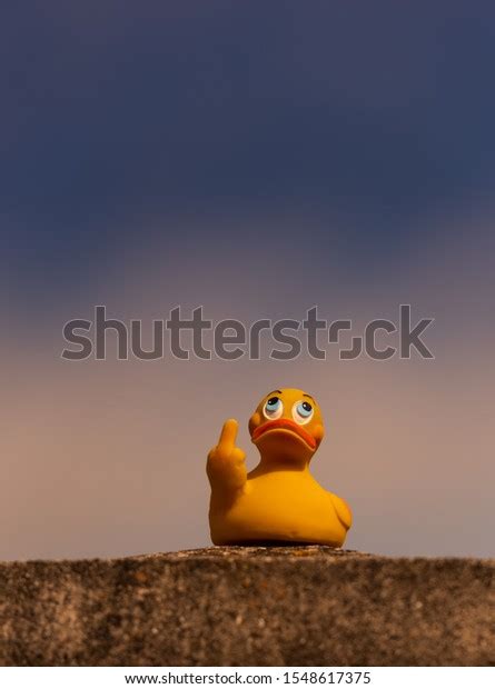 Rubber Duck Showing Middle Finger GestureẢnh Có Sẵn1548617375 Shutterstock
