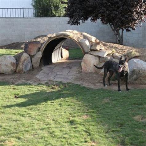 20 Creative Diy Dog Playground In The Backyard Obsigen
