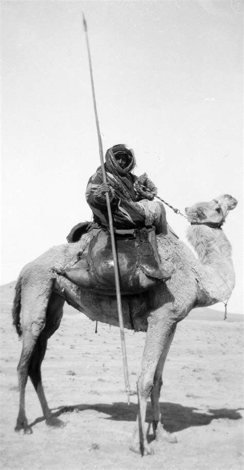 Camel saddles, the art of saddling a camel by doug baum. Pin on Indo-Persian photos, paintings and items.