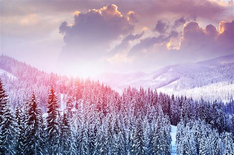 Wallpaper Sunlight Trees Landscape Forest Mountains Nature Sky Snow Winter Clouds