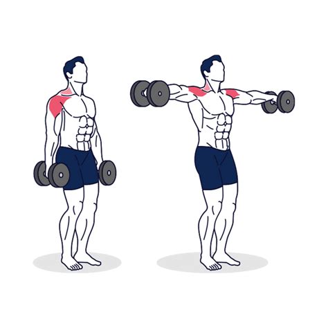 How To Dumbbell Lateral Raise Benefits And Exercise For Shoulders
