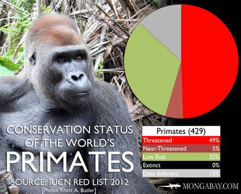 Chart The Worlds Most Endangered Primates