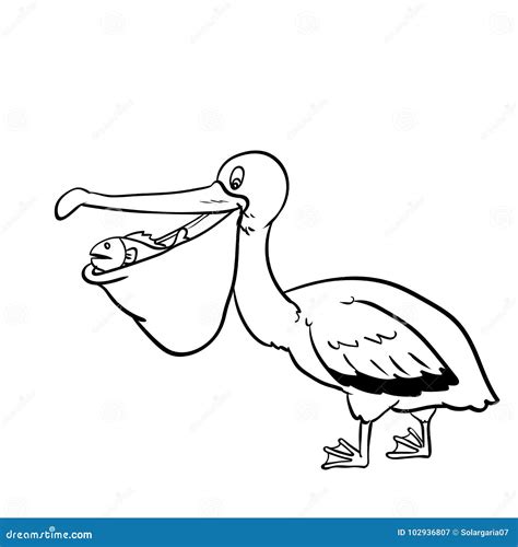 Isolated Pelican Cartoon Vector Hand Drawn Illustration Stock Vector