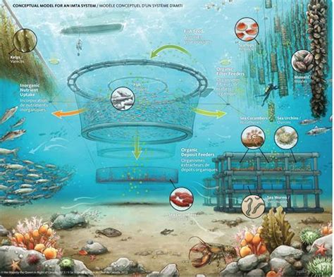 New Report Says Ocean Farming Could Play Wider Role In Feeding The