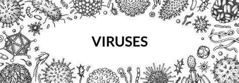 80 Varicella Zoster Virus Stockillustraties Royalty Free Vector