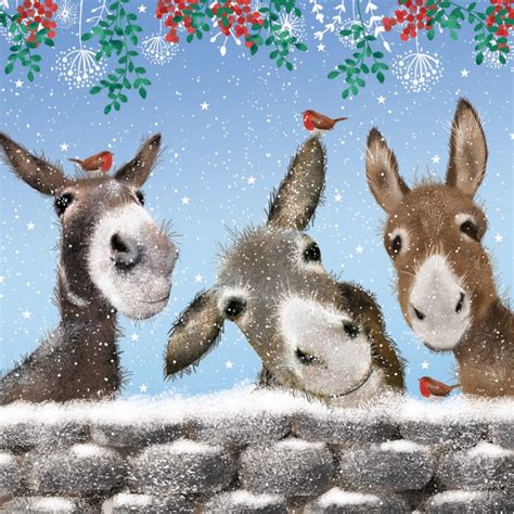 Christmas Cards At Our Online Store St Wilfrids Hospice