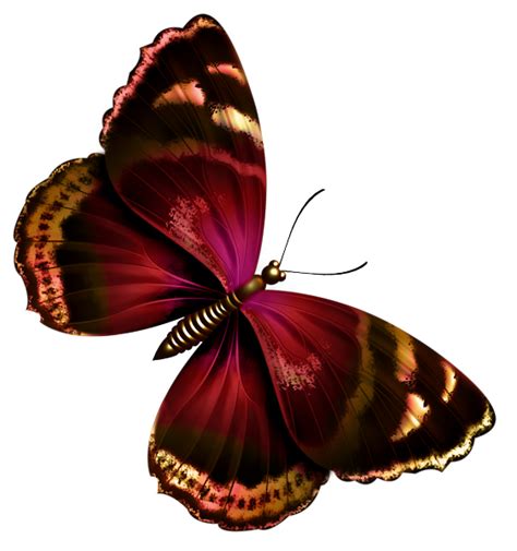 papillons - Page 5 | Tatouage papillon coloré, Art papillon, Tatouage de papillon