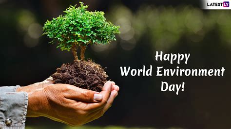 Happy World Environment Day 2020 Quotes And Wed Wishes Whatsapp