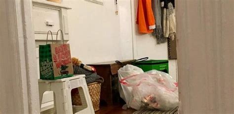 Cats enjoy playing with new toy while other cat hides under couch. Almost Nobody Can Spot The Little White Cat Hiding In This ...