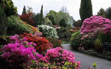 Leonardslee Gardens West Sussex England Awesome Colors