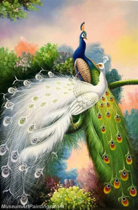 Peacockfamous Peacock Paintings For Sale