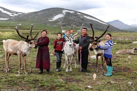 the nomadic reindeer tribe who live in remote parts of mongolia mongolia reindeer reindeer