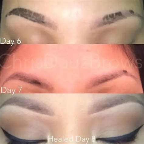 Ombre Powder Brows Healing Stages Process And After Care Day By Day