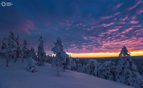 Highlights of Lapland 2020 - 2021 - Lapland Welcome: Lapponia Finlandia ...